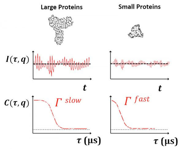 Guide to Making Useful Measurements of Monoclonal Antibodies (mAbs) with Dynamic Light Scattering