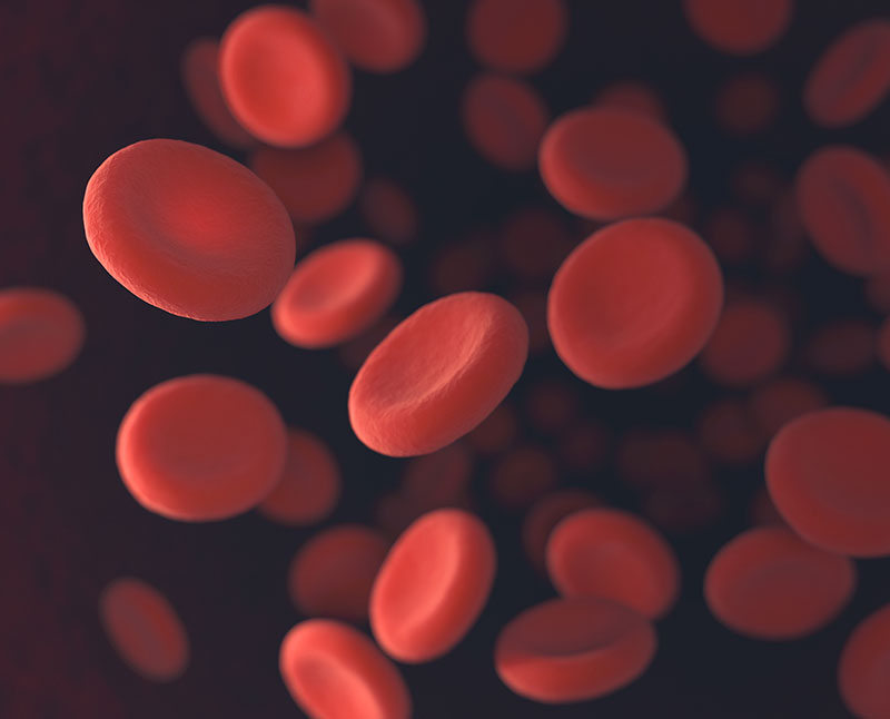Using ZetaPALS to make High Salt Zeta Potential Measurements on Red Blood Cells